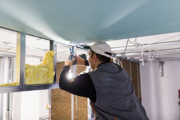 Best Commercial Insulation in Warren, MN